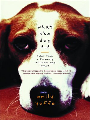 cover image of What the Dog Did